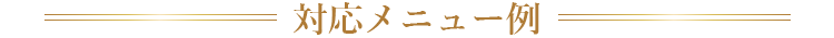 対応メニュー例